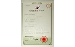 Company Honor6